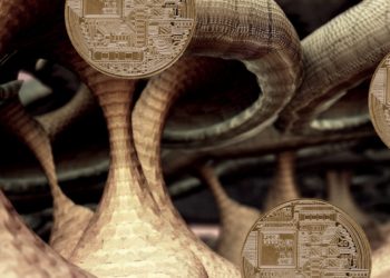 Top Trader Says This Group of Altcoins Poised To ‘Massively Thrive’ in Next Bitcoin and Crypto Bull Run