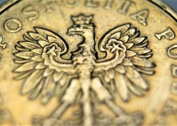 Poland Should Either Join Eurozone Or Issue Own CBDC