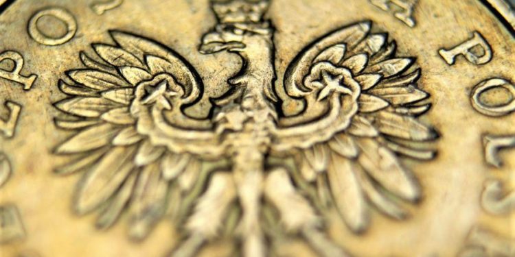 Poland Should Either Join Eurozone Or Issue Own CBDC