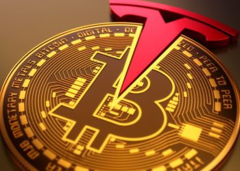 Bots Inc Starts Accepting Dogecoin And Other Cryptocurrencies from Tesla Vehicle Buyers