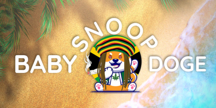 BabySnoopDoge, The Biggest Charity-Based Memecoin For Marijuana