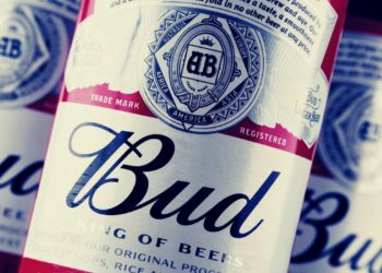 Pays 38 ETH For Beer.eth Domain Name And Rocket NFT