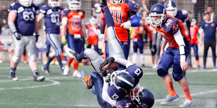 Cardano Prepares For Assault On DeFi, Unveils New Stablecoin