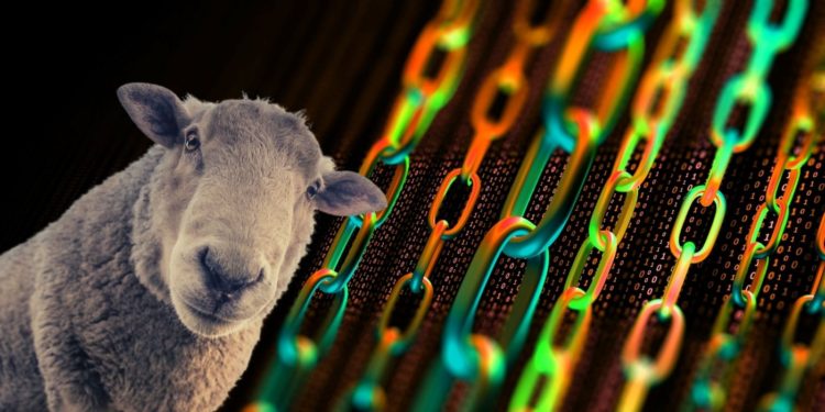 Australian Farmers To Put 70 Million Sheep On The Blockchain