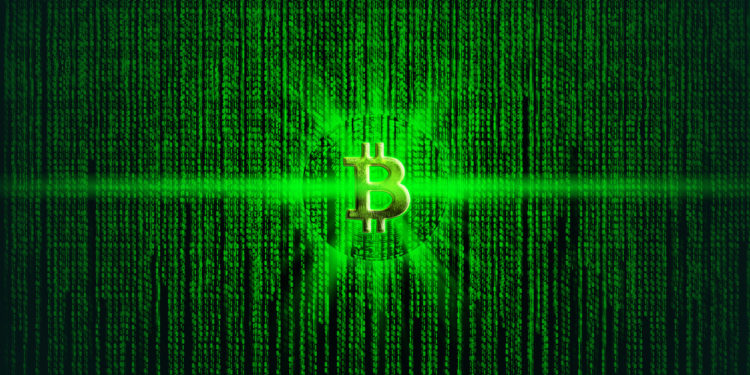 Green Shoots of Recovery Sprout for Bitcoin Miners – Report