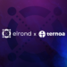 Ternoa Expands NFT Time Capsules’ Compatibility Partnering with Elrond