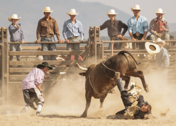 What Bear Market? Bulls Now “In Control” Over Every Bitcoin Timeframe