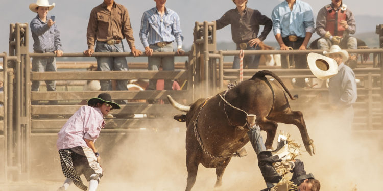 What Bear Market? Bulls Now “In Control” Over Every Bitcoin Timeframe