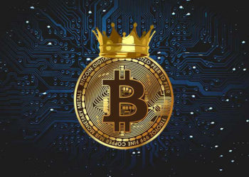 What $10 In Bitcoin Each Day Would Net Investors