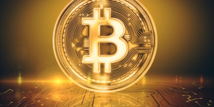 Number Of Short-Term Bitcoin Holders Hits All-Time Low, How This Affects The Price