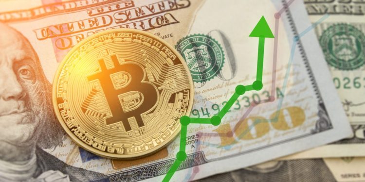 Bitcoin To Surpass $120,000 In A Year, Says Pantera CEO