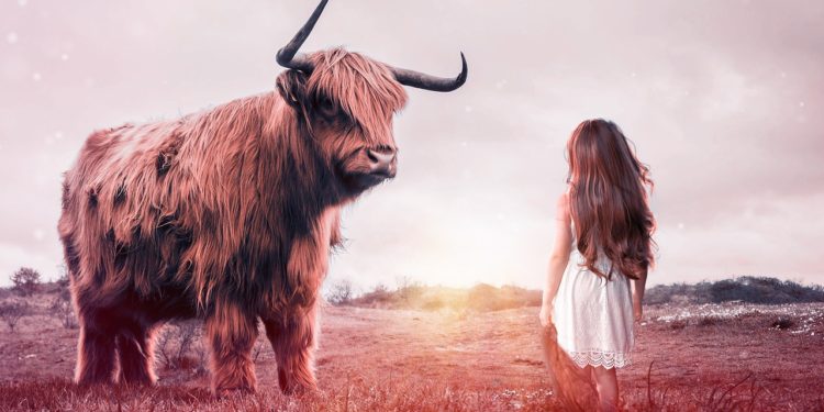 Bitcoin At $42K, Comparing Today’s Leverage With That Of February