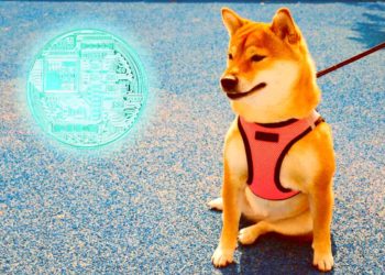 New Investors Adopting Dogecoin at Levels Not Seen Since 2017 Bull Run, According to Chainalysis – But There’s a Catch