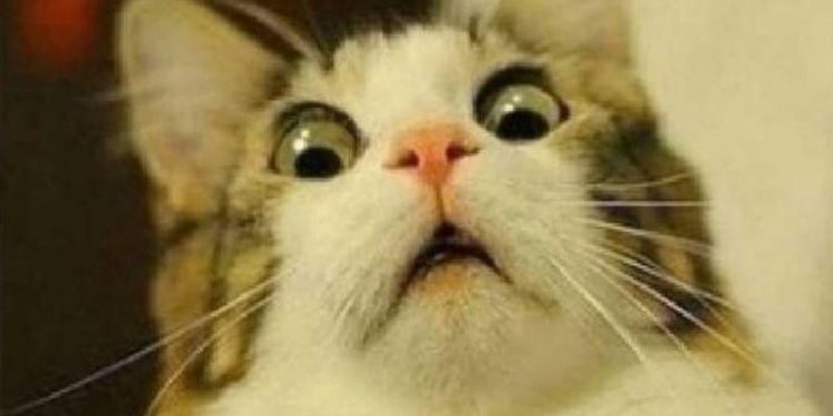 Ethereum Burning Fee, Pantera Trimming BTC and 20 Crypto Jokes