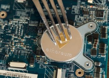 Everything You Need To Know