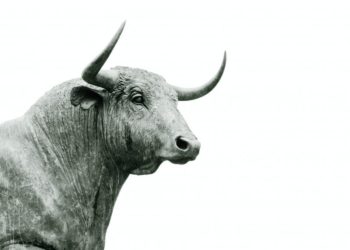 S2F Creator Beckons Beginning Of Second Leg Of Bitcoin Bull Run