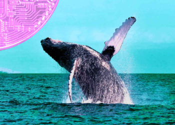 Whales Move $705,000,000 in Bitcoin and Ethereum As Market Bounces – Here’s Where the Crypto Is Going