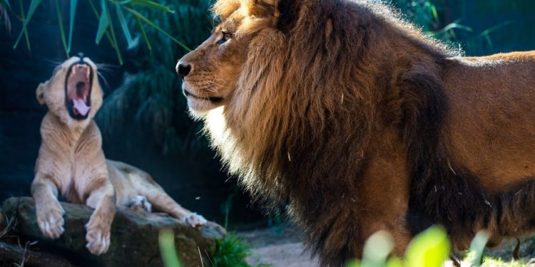 Uniswap Community Reacts Against The New Proposal, Here is Why