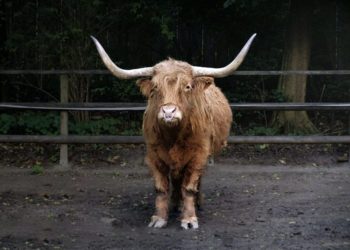 The Bullish Bitcoin Crossover No One Is Paying Attention To