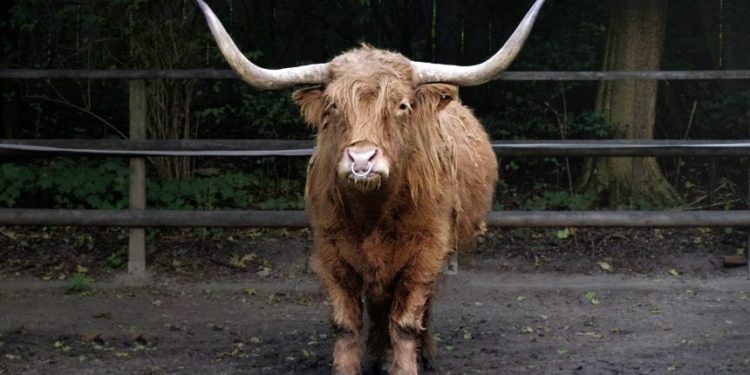 The Bullish Bitcoin Crossover No One Is Paying Attention To