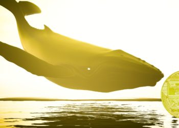 Fetch.ai, Bancor and Two More Altcoins Headline Assets With Heavy Whale Accumulation: Santiment