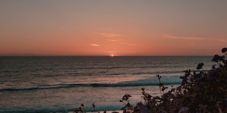 An Introduction To Solana: Innovations, Characteristics, And Criticism