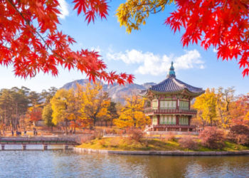 South Korea May Have to Postpone Crypto Taxation, Lawmaker Declares