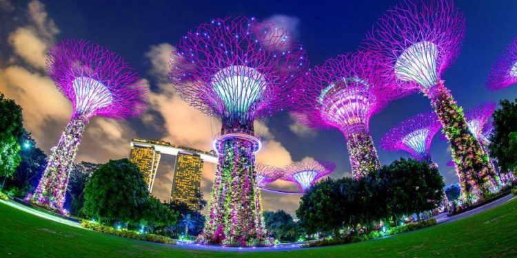 Singapore vs. Binance, Investment Giant Looks for Crypto Traders + More News