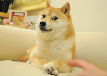 Fractionalized Doge NFT Hits Implied Valuation of USD 500M