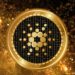 Cardano Successfully Deploys Alonzo HFC, But Why Is Price Down?