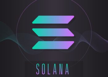 Solana Network Goes Offline Amid Massive SOL Price Plunge