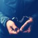 14 Arrests Made Following $5 Million Crypto Investment Scam