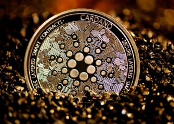Why The Hydra Layer 2 Solution Is Important To The Cardano Network
