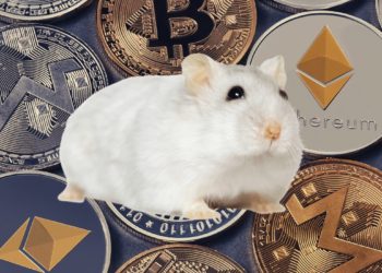 Office Hamster Beats The S&P 500 By Trading Crypto Tokens