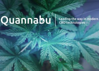 All About Quannabu, the Cryptocurrency Built for the Cannabis Industry