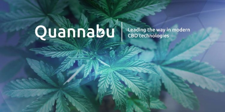 All About Quannabu, the Cryptocurrency Built for the Cannabis Industry