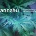 All About Quannabu, the Cryptocurrency Built for the Cannabis Industry