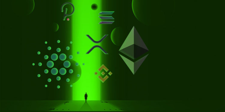 This Under-the-Radar Altcoin Is Up 34% This Week Despite the Crypto Market Correction