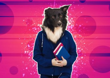 Industry Leaders Set To Speak At This Week’s Australian NFT Fest