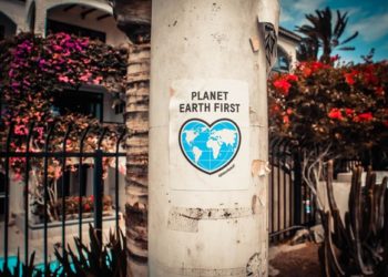 How Blockchain-Based Technology Can Shape the Future of Earth