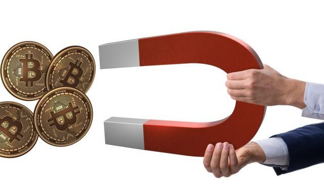 While Broader Crypto Market Holds Its Collective Breath, Whales Are Loading Up On Bitcoin