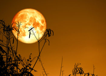 Summer Bitcoin Slump Could Bring Bountiful Fall Harvest