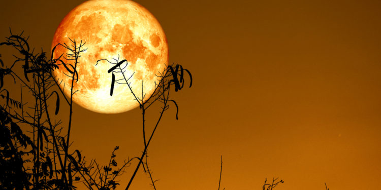 Summer Bitcoin Slump Could Bring Bountiful Fall Harvest