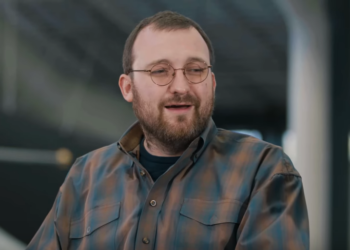 Cardano Gives More Info on Stablecoin & New Partnerships, ADA Drops