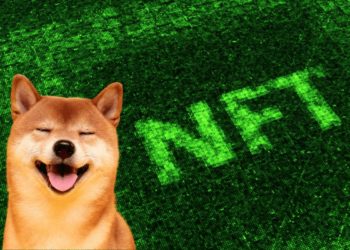 Demand For Fractionalised NFTs Grows As Doge Meme Valuation Exceeds $300 Million