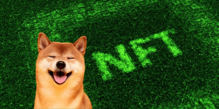 Demand For Fractionalised NFTs Grows As Doge Meme Valuation Exceeds $300 Million