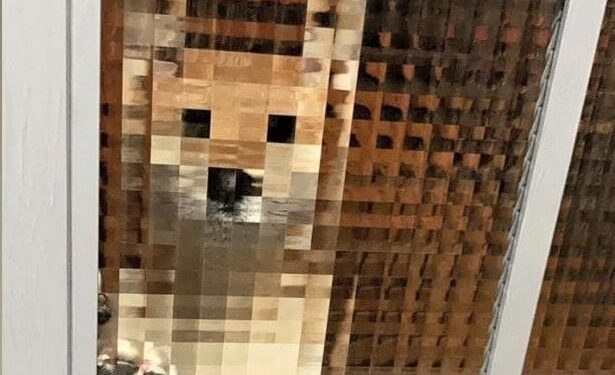 Screwing Up, Offlining, OpenSeaing and 20 Crypto Jokes