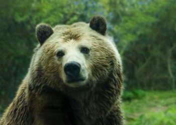 Ethereum Bearish Signal Goes Off As 100k ETH Flows Into Binance