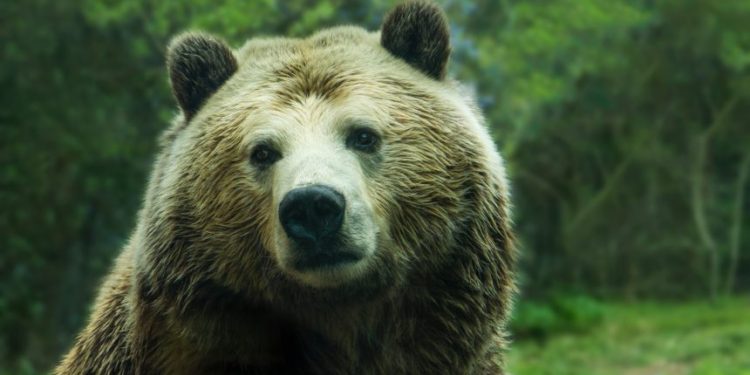 Ethereum Bearish Signal Goes Off As 100k ETH Flows Into Binance