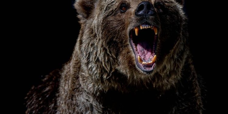Bitcoin Bearish Signals Go Off Despite Recovery Above $44k, Dead Cat’s Bounce?